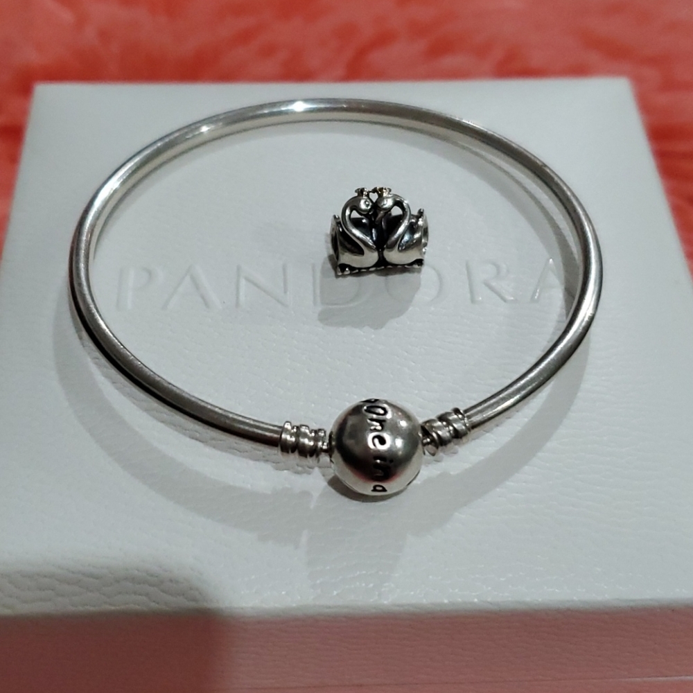 Authentic Pandora Bangle & Charm - image 1